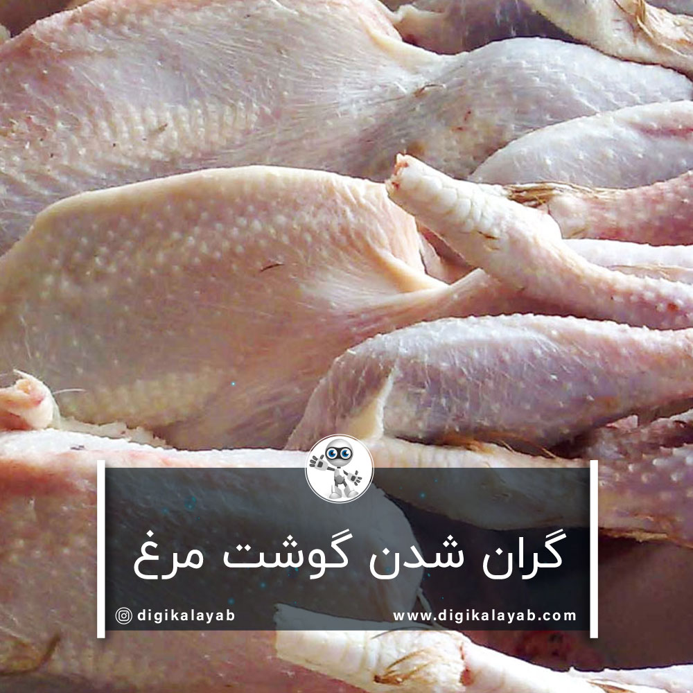 گران شدن گوشت مرغ