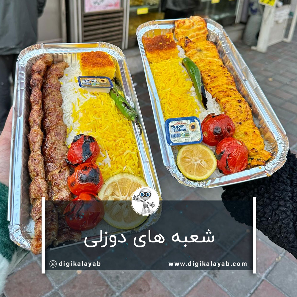 شعبه های دوزلی